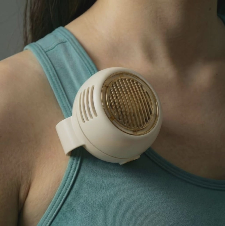 Clip-on portable fan